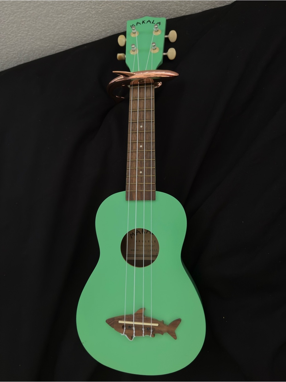 Green Soprano Ukulele for Kids - Bright Green Learning Guitar
